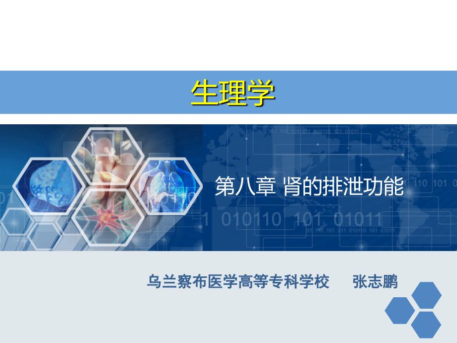 生理学第八章肾的排泄功能课件.ppt_第1页