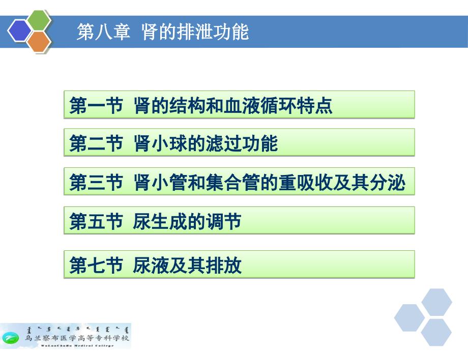 生理学第八章肾的排泄功能课件.ppt_第2页