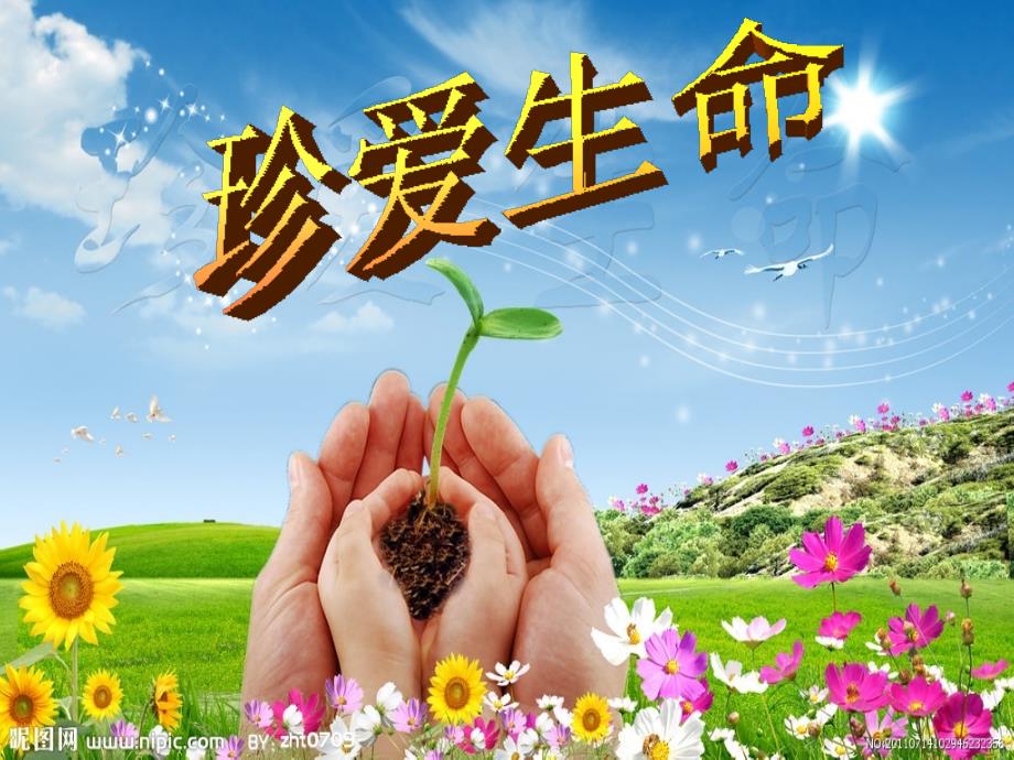 珍爱生命善待自我主题班会.ppt_第1页