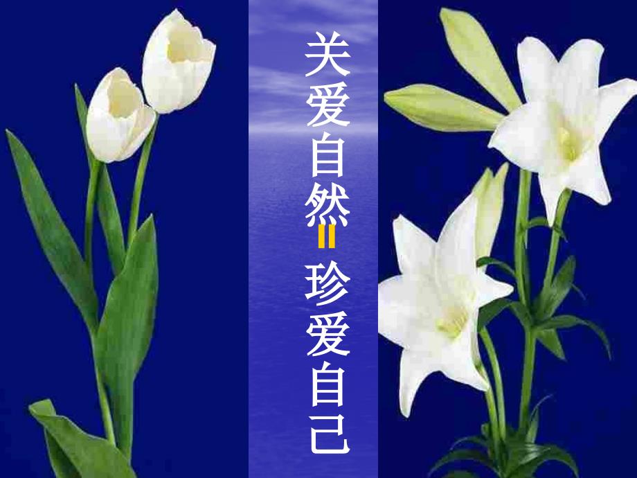 珍爱生命善待自我主题班会.ppt_第3页