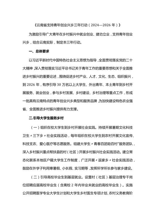 《云南省支持青年创业兴乡三年行动（2024—2026年）》.docx