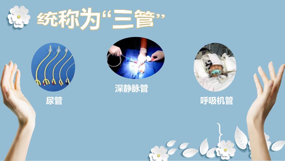 三管预防与控制标准操作规程.ppt_第2页