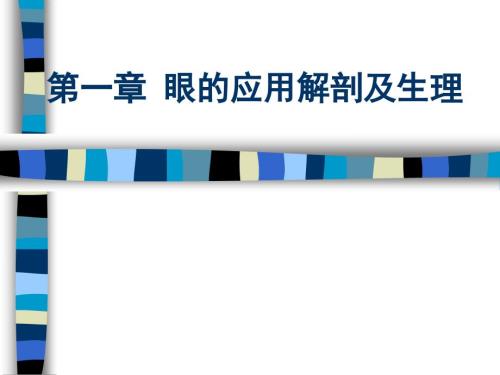 眼的应用解剖生理.ppt