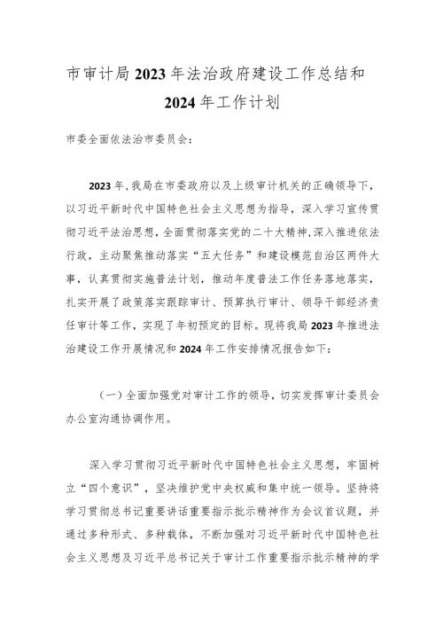 市审计局2023年法治政府建设工作总结和2024年工作计划.docx