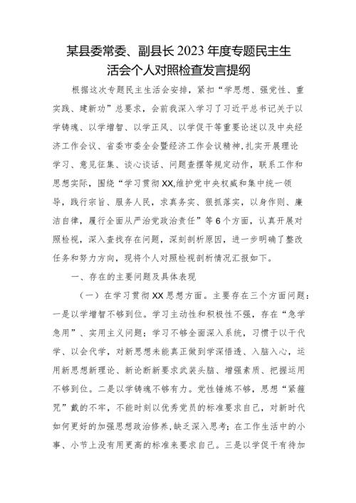 某县委常委、副县长2023专题民主生活会个人对照检查发言提纲.docx
