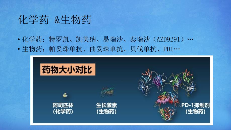 PD1免疫治疗简介.ppt_第2页