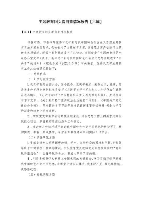 主题教育回头看自查情况报告【六篇】.docx