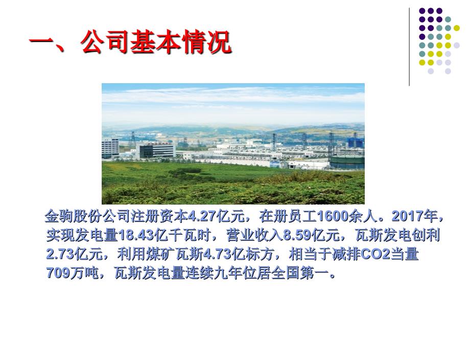 瓦斯发电PPT课件.ppt_第3页
