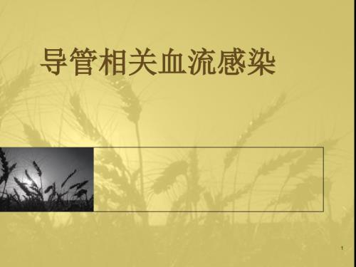 导管相关性血流感染课件.pptx
