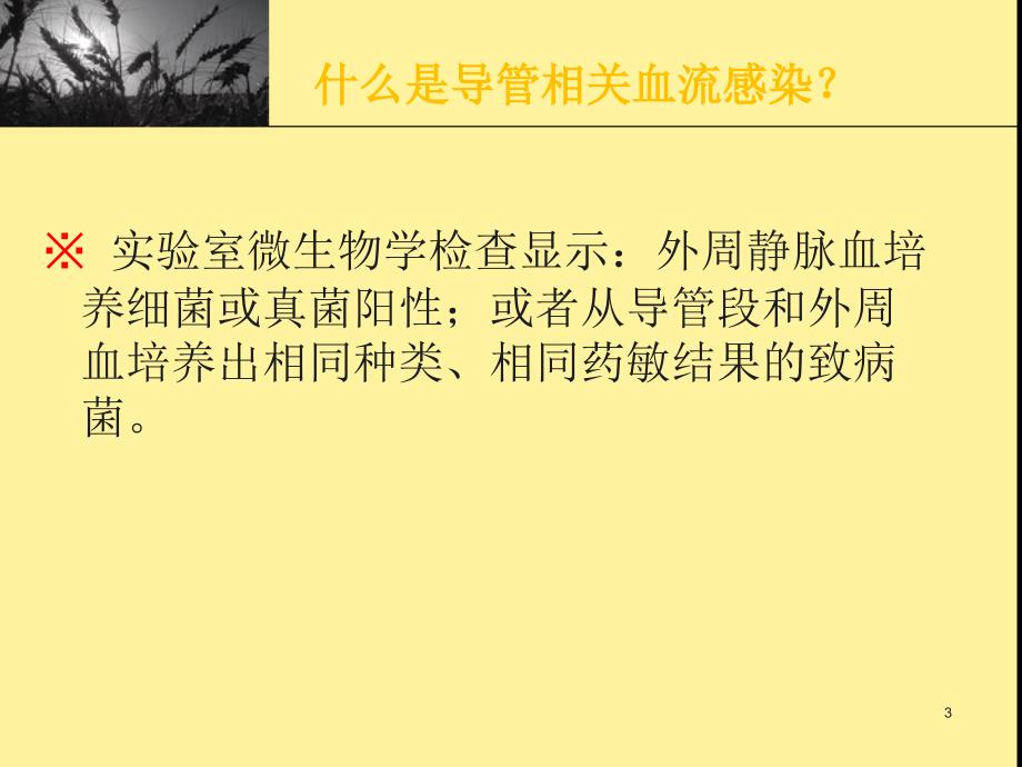 导管相关性血流感染课件.pptx_第3页