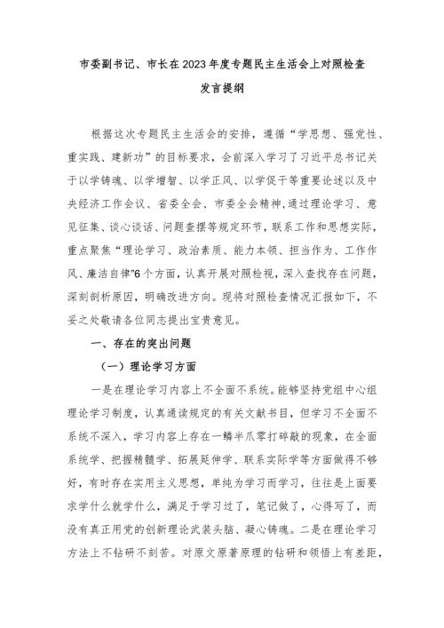 市委副书记、市长在2023专题民主生活会上对照检查发言提纲.docx