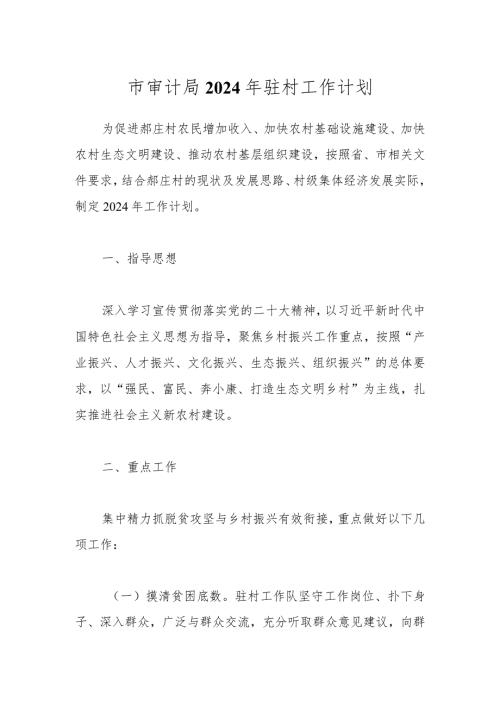 市审计局2024年驻村工作计划.docx