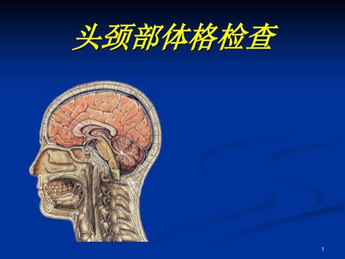 头颈部体格检查PPT课件.ppt