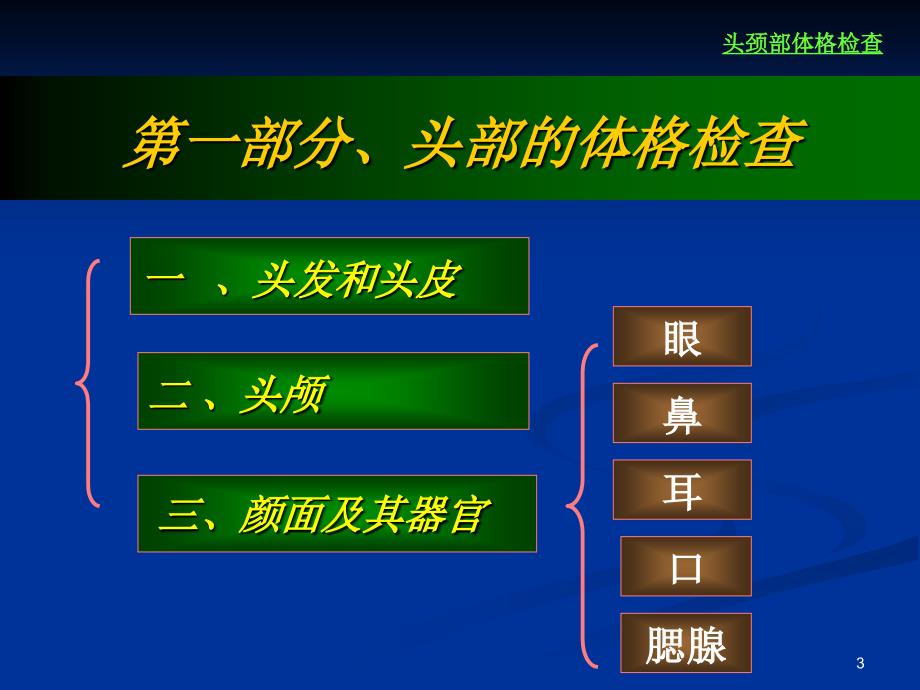 头颈部体格检查PPT课件.ppt_第3页