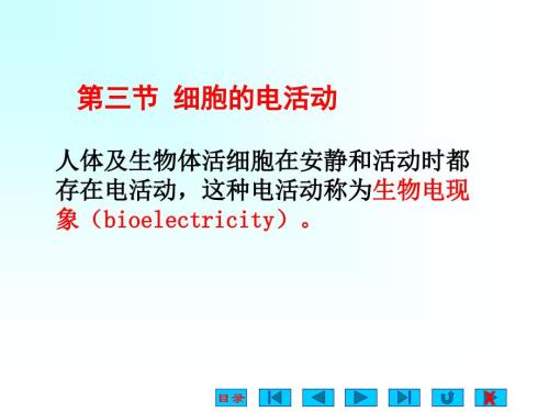 生理学静动作电位课件.ppt