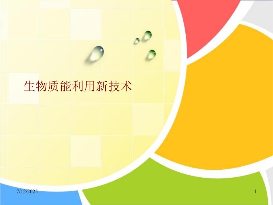 生物质能利用技术PPT课件.ppt_第1页