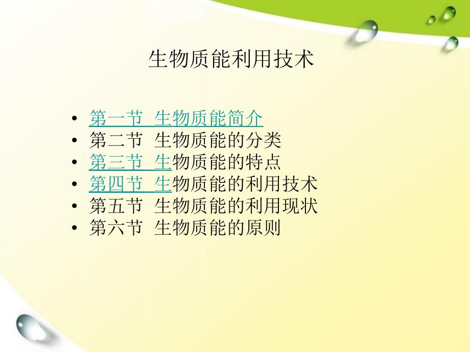 生物质能利用技术PPT课件.ppt_第2页