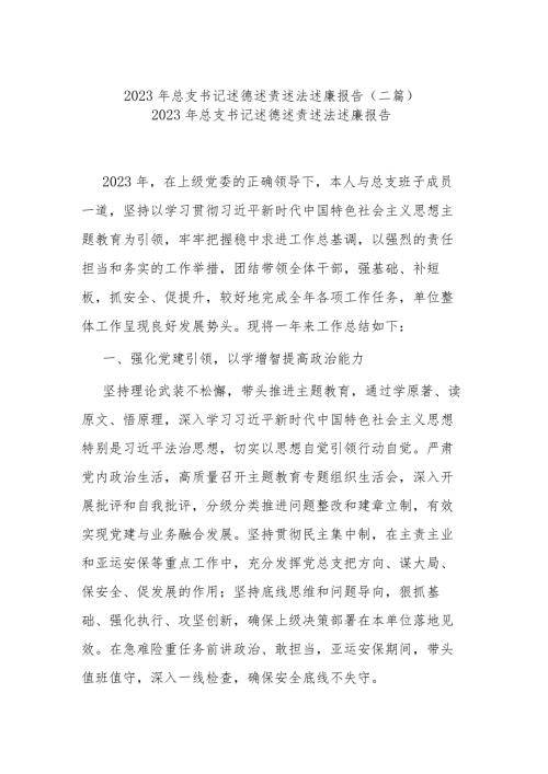 2023年总支书记述德述责述法述廉报告(二篇).docx