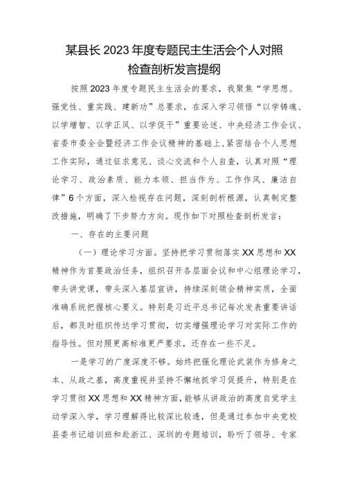 某县长2023专题民主生活会个人对照检查剖析发言提纲.docx