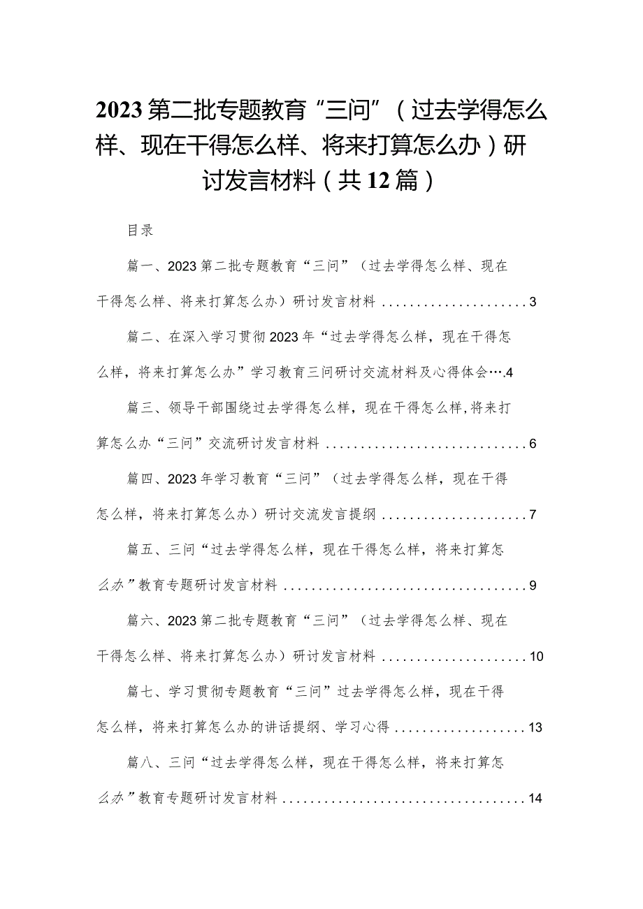 第二批专题教育“三问”（过去学得怎么样、现在干得怎么样、将来打算怎么办）研讨发言材料12篇（精编版）.docx_第1页