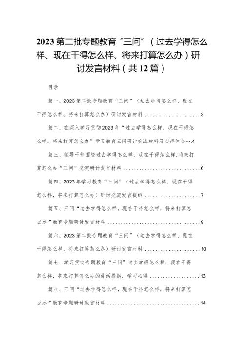 第二批专题教育“三问”（过去学得怎么样、现在干得怎么样、将来打算怎么办）研讨发言材料12篇（精编版）.docx