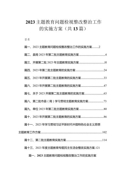 2023专题教育问题检视整改整治工作的实施方案（共13篇）.docx