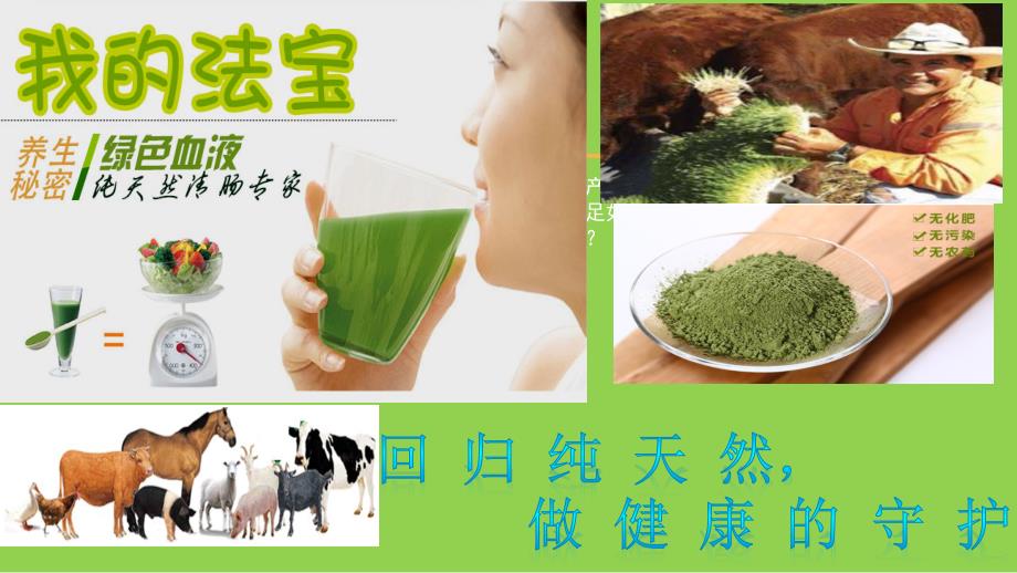 大麦草集装箱工厂式水培技术.pptx_第2页