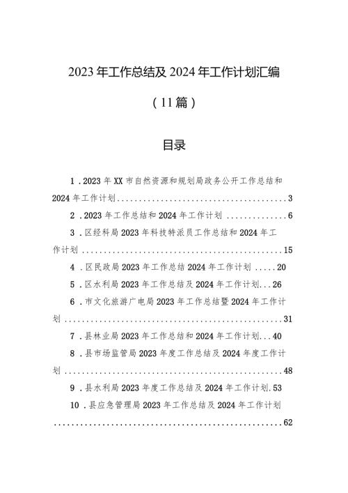 2023年工作总结及2024年工作计划汇编（11篇）.docx