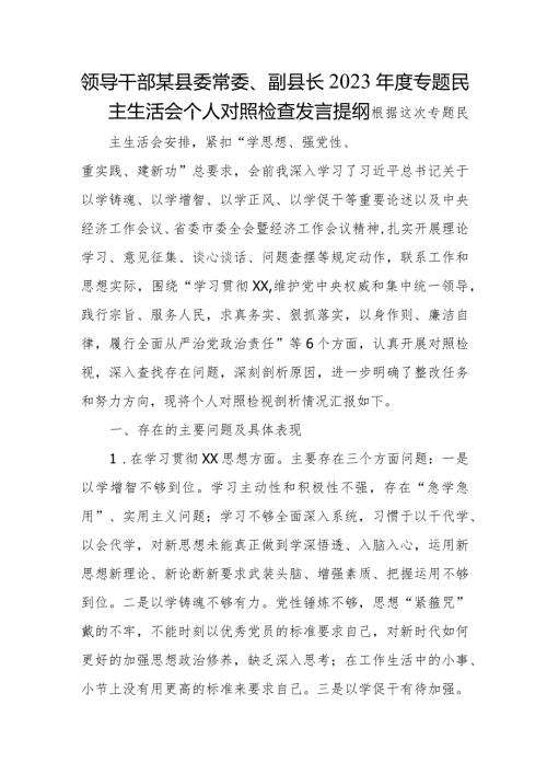 领导干部某县委常委、副县长2023专题民主生活会个人对照检查发言提纲.docx