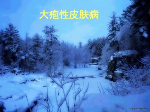 大疱性皮肤病PPT课件.ppt