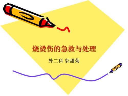 烧烫伤的急救与处理.ppt