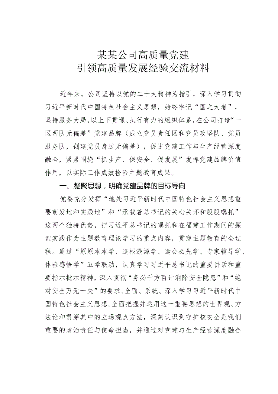 某某公司高质量党建引领高质量发展经验交流材料(1).docx_第1页