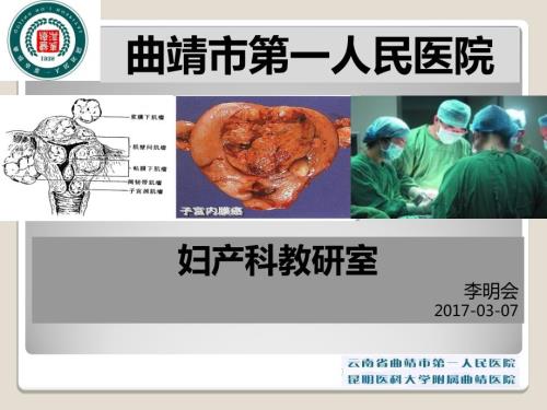 子宫肌瘤教学查房.ppt