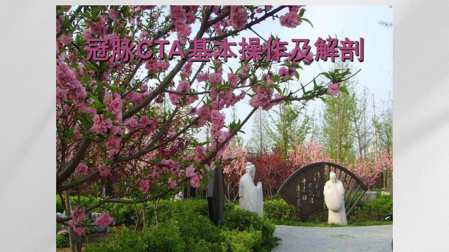 冠状动脉CTA课件.pptx_第3页