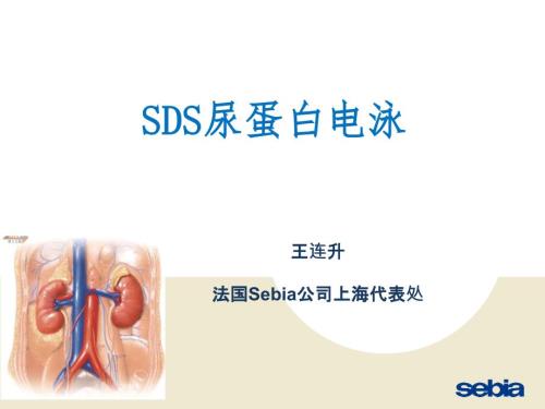 sds尿蛋白及本周氏电泳的意义ppt课件.pptx