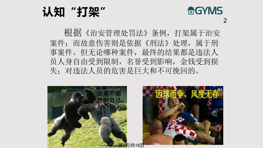 瑞森员工纪律与法律意识提高培训打架的代价与预防概要PPT课件.pptx_第2页