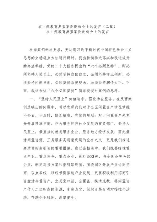 在主题教育典型案例剖析会上的发言(二篇).docx