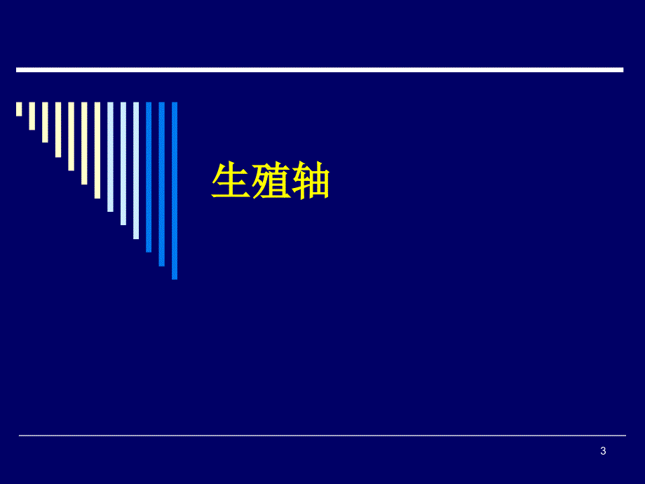 生殖内分泌基础PPT课件.ppt_第3页