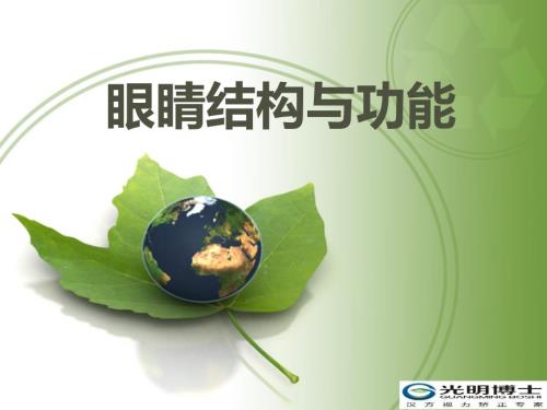 眼睛结构与功能课件.ppt