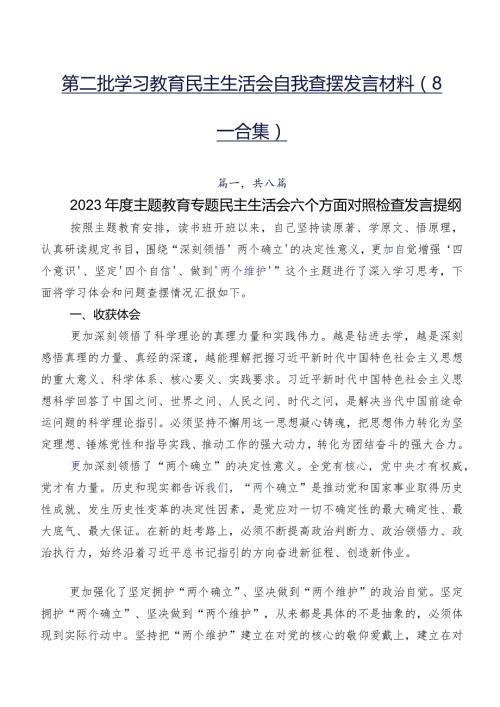 第二批学习教育民主生活会自我查摆发言材料（8篇合集）.docx