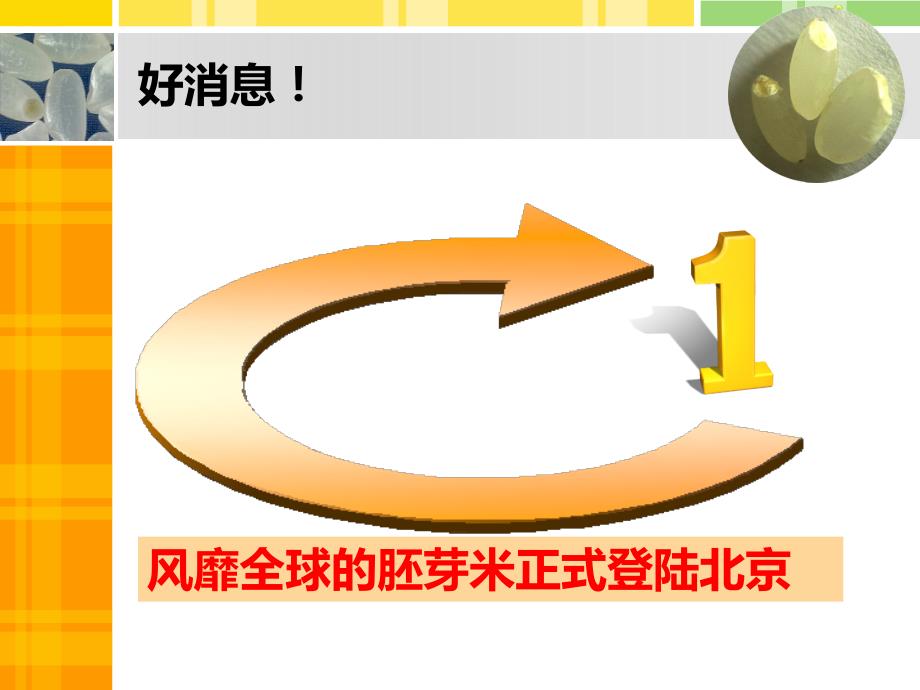 现磨胚芽米PPT课件.ppt_第2页