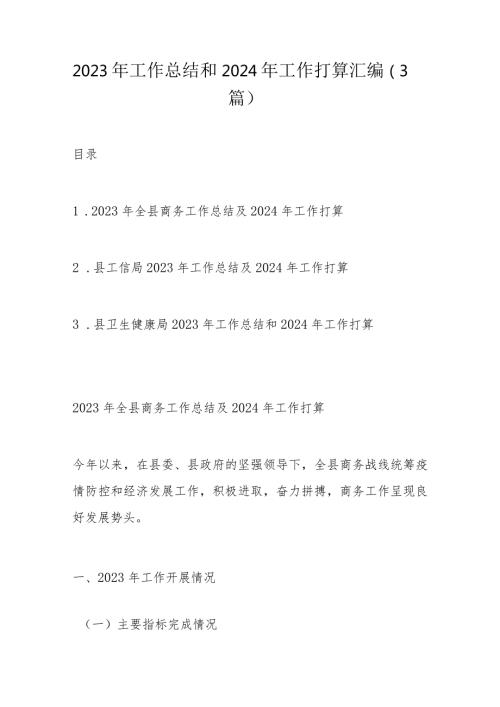 2023年工作总结和2024年工作打算汇编.docx