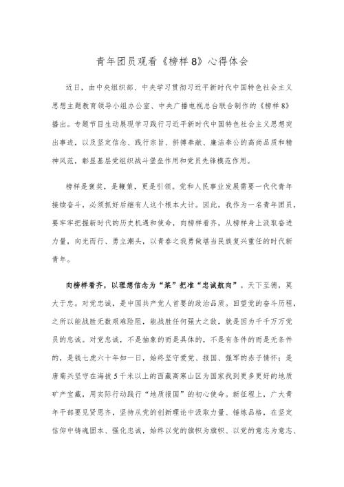 青年团员观看《榜样8》心得体会.docx