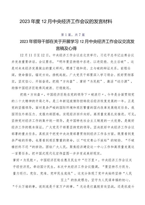 202312月中央经济工作会议的发言材料.docx
