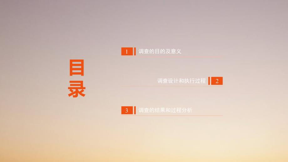 大学生幸福感及问卷调查.ppt_第2页