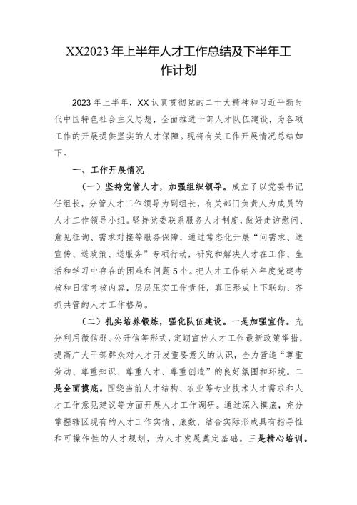 2023年上半年人才工作总结及下半年工作计划.docx