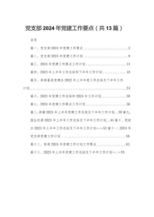 党支部2024年党建工作要点13篇（精编版.docx