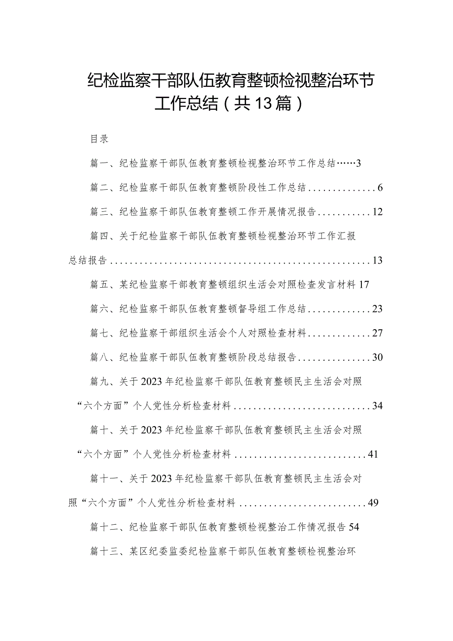 纪检监察干部队伍教育整顿检视整治环节工作总结最新版13篇合辑.docx_第1页