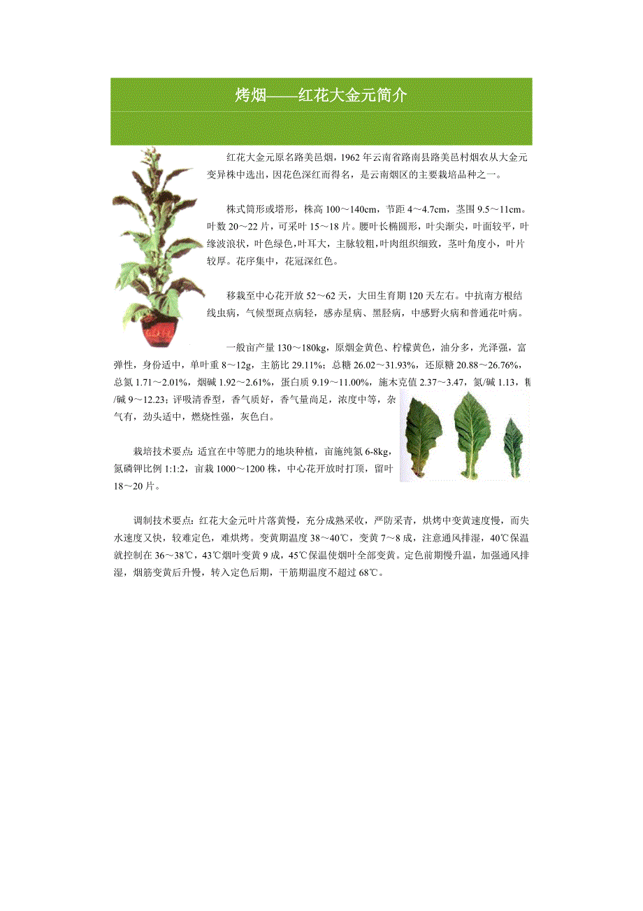 烤烟品种介绍.doc_第1页