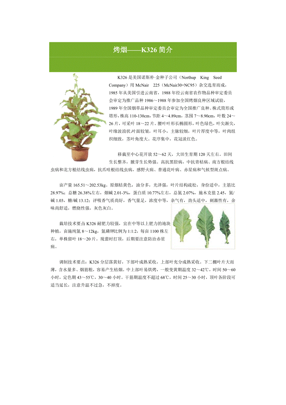 烤烟品种介绍.doc_第2页